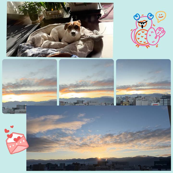 0a3ffb93 d853 44d1 8dcf 10e0b9c18aaf 1773463514134