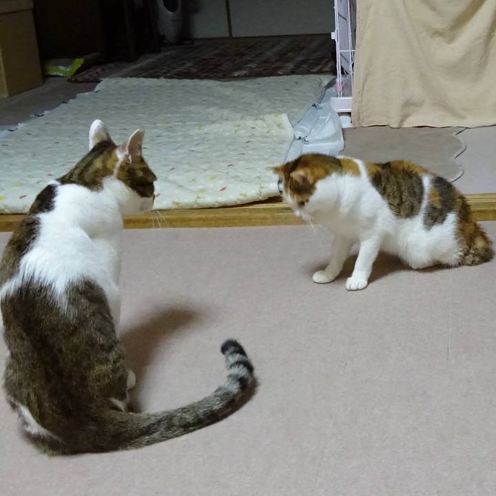 0a41047f 8f50 4a36 93a9 8697fba89085 1518837590550