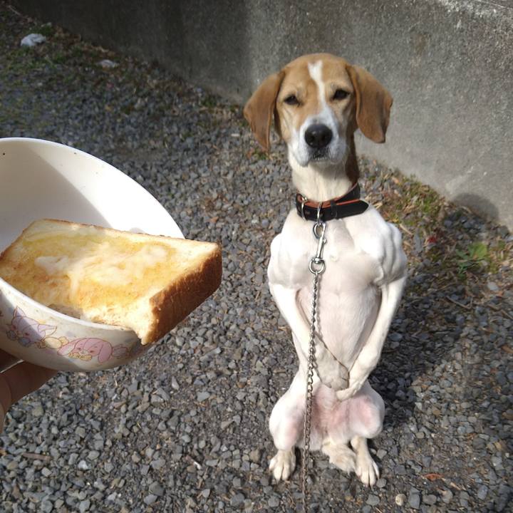 0a414e2a 0470 45b0 9af2 f19d8ce53fed 1645087680373