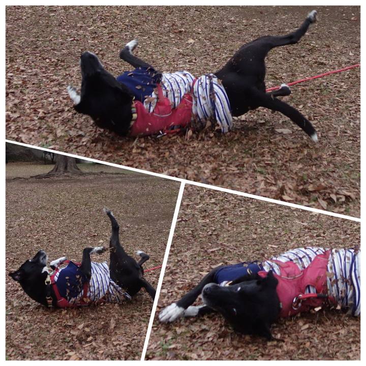 0a419f08 c990 43ea 8b13 1ac269861f92 1702597638025