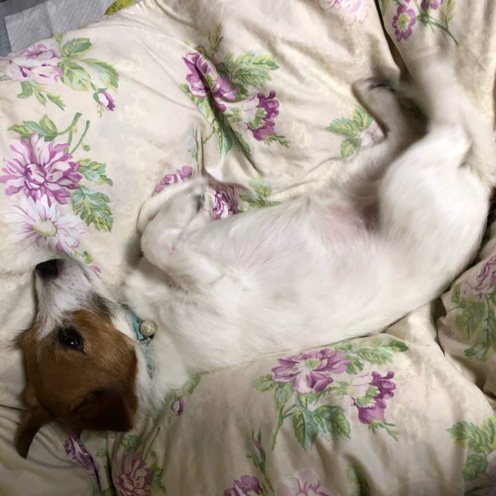 0a422795 df54 4c7a 8b20 f177f0e74f7d 1555848027742