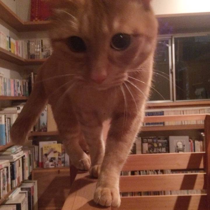 0a422908 b4fd 440d ae6d 058bb549e333 1550061025338