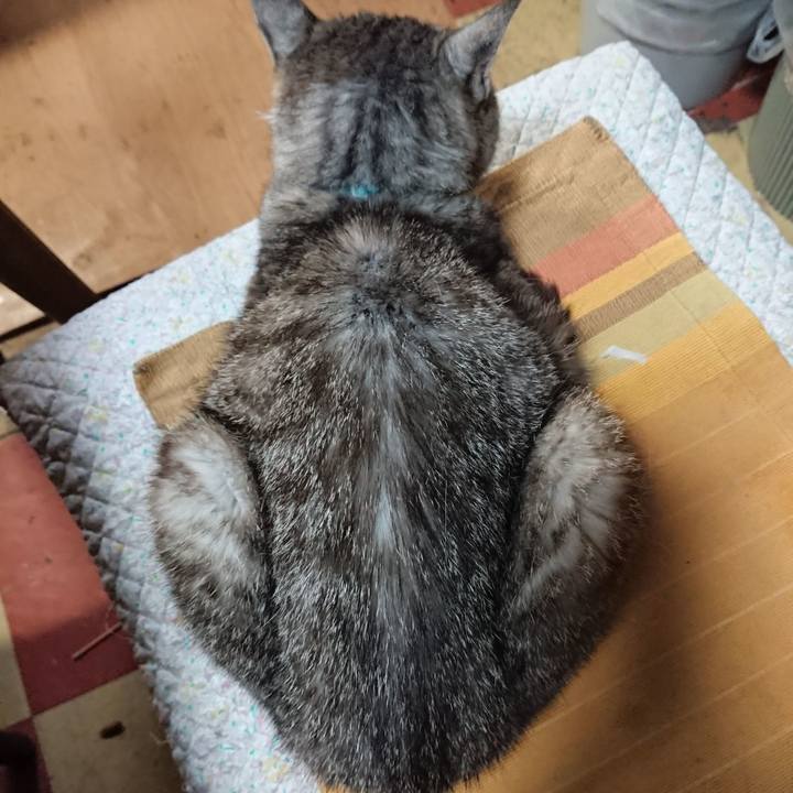 0a4278f2 9658 40b1 96f4 dc3a76909aea 1568336386012