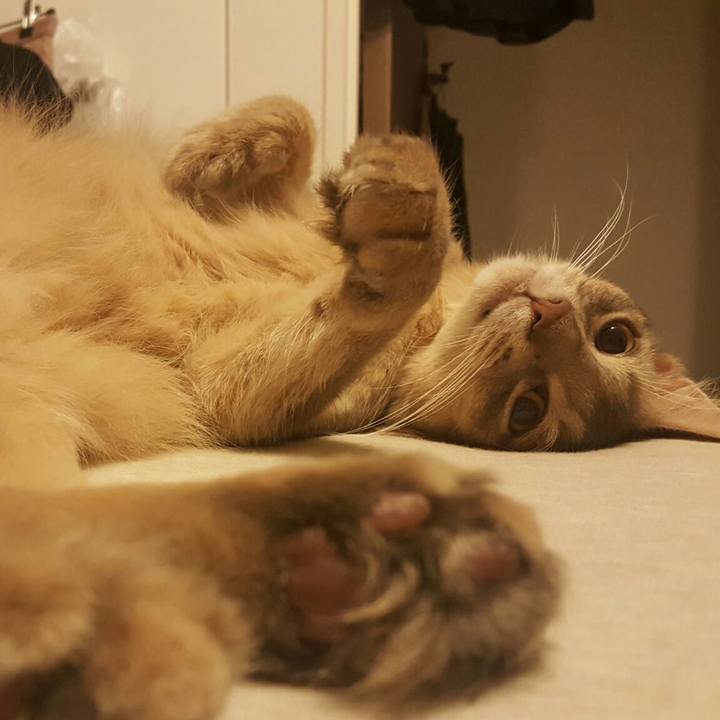 0a428241 db24 49a2 9594 69f9604120cf 1537449754091