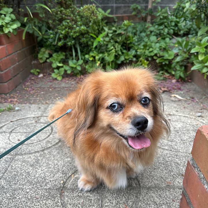 0a429b4e f7ec 4dff 8ff7 ec56ff04233c 1756070552246