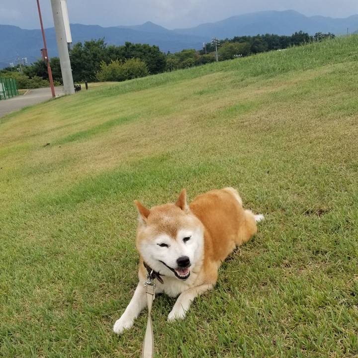 0a43487f 22a2 4858 bd6b dca500fe1f95 1693380659122