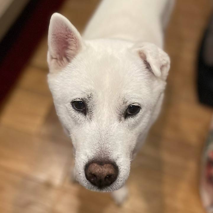 0a43a9bc eba8 4e59 b85b d2e728abeacb 1746183139118