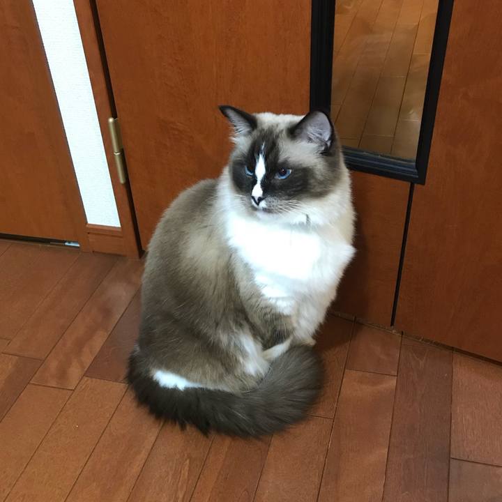 0a43b838 ee78 491d b2fb 6e9ca8c96a6c 1511268922655