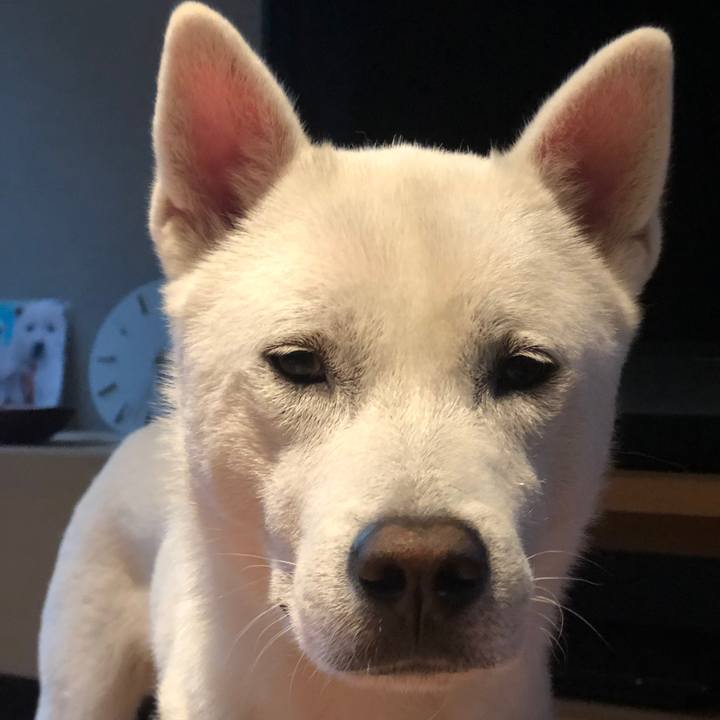 0a43cd68 4ec2 455a aca5 43a1bb6b47d4 1556620856173