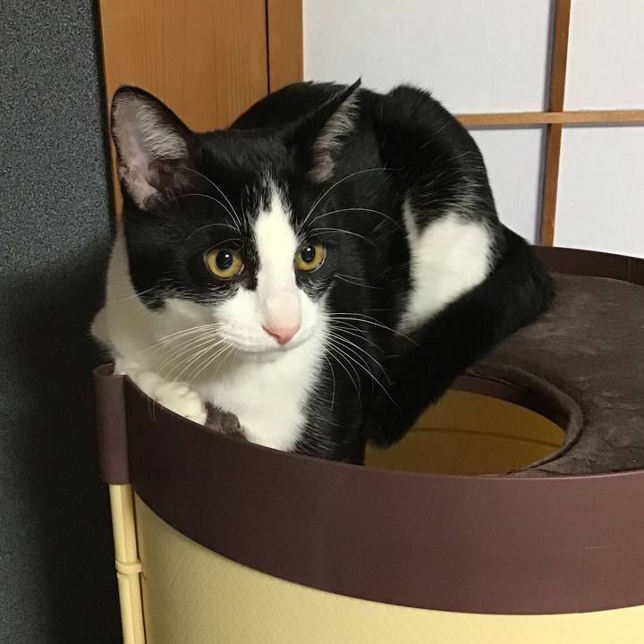 0a442179 74a7 47f1 901f 910dce142624 1638312848766