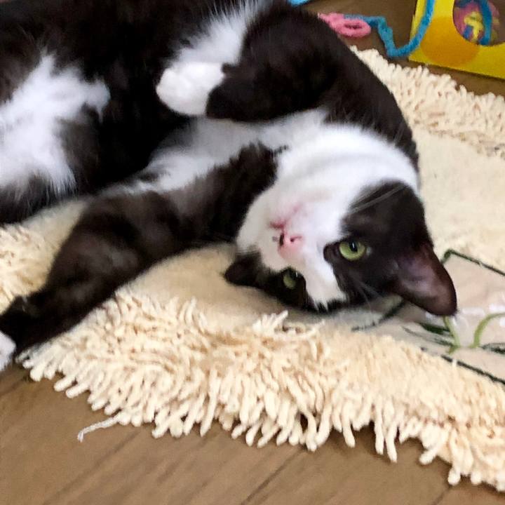 0a446878 da16 4ab3 a0e3 e2862b0315e1 1566462985179