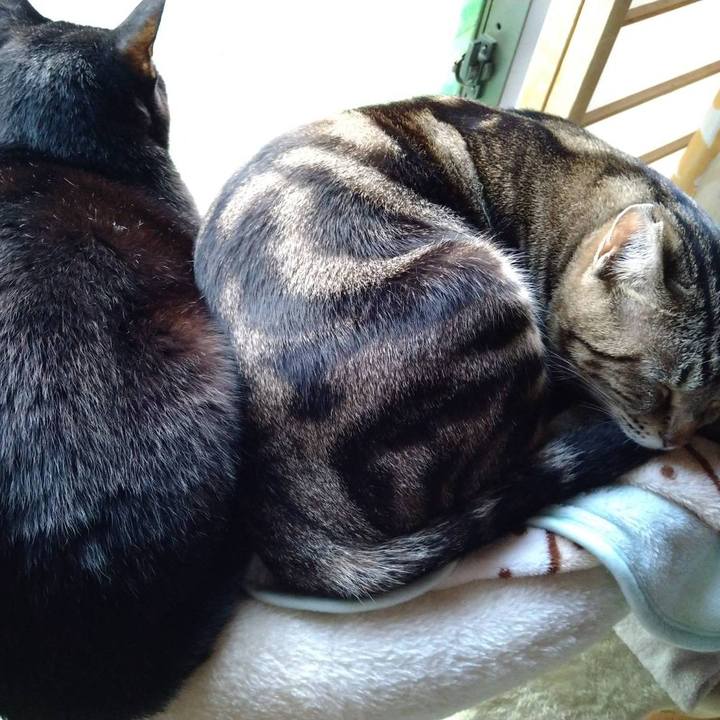 0a44885d 3a6e 4227 b603 38d584849477 1703072932529