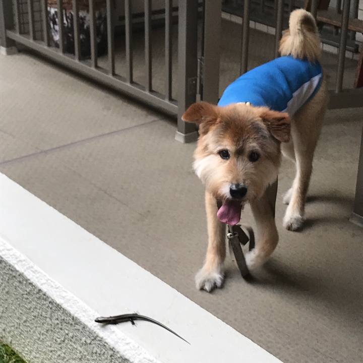 0a44e1d3 95df 4a5d a46c 9062c91a99aa 1597032234040