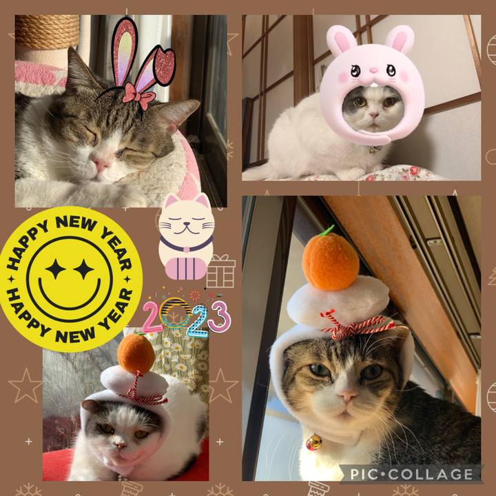 0a44e7a6 e88d 4eb4 af05 d3bc83eba58f 1672676000136