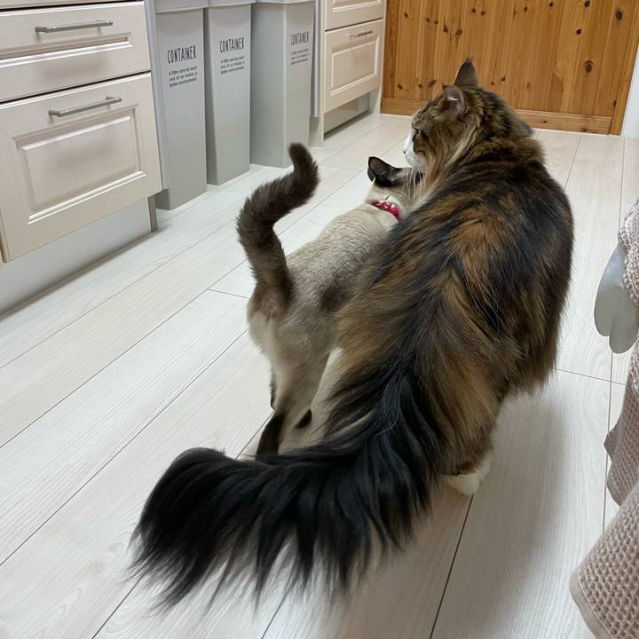 0a44e872 19bd 4b2e 81ba d474402b93ca 1707766661652