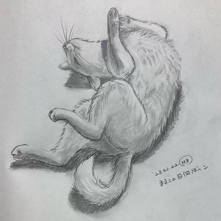 0a44eb57 6ad4 47fe a828 d4f10deb81ba 1677233415047