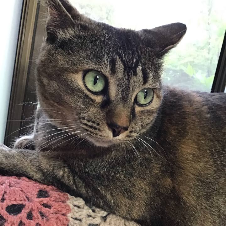 0a44f64a 556b 4b55 b8e1 649998e5d9cc 1747906963660