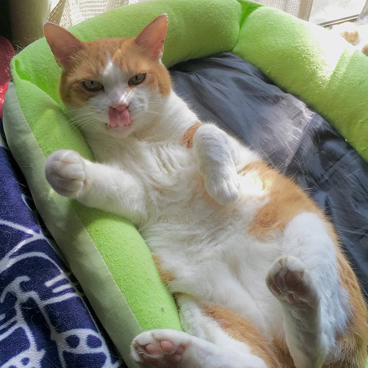 0a45a828 8882 4068 84fa 51a59f4c6ef5 1591769247744