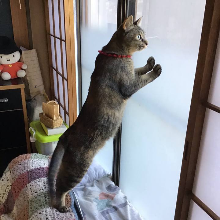 0a45ad08 b435 482c a7d8 30cbc0714f26 1613629512393