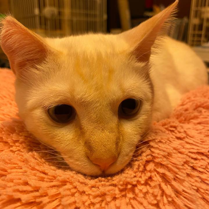 0a45b67a a4ce 4e72 8ba3 0e7898d163a1 1603375045838