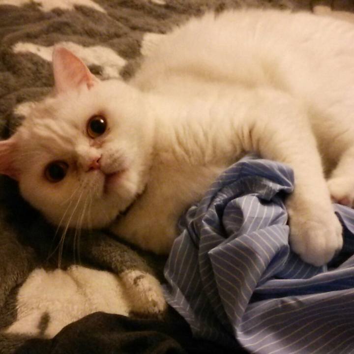 0a45bcf9 4c6b 4221 b112 bfea48cf3d43 1528890929169