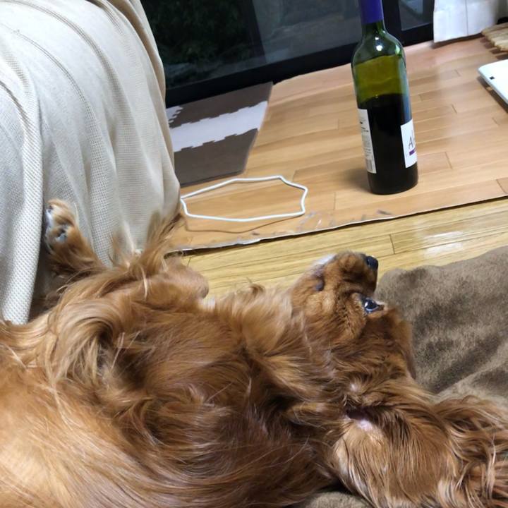 0a45c0cc 440e 46b7 94ad 23a41c236e81 1622127669110