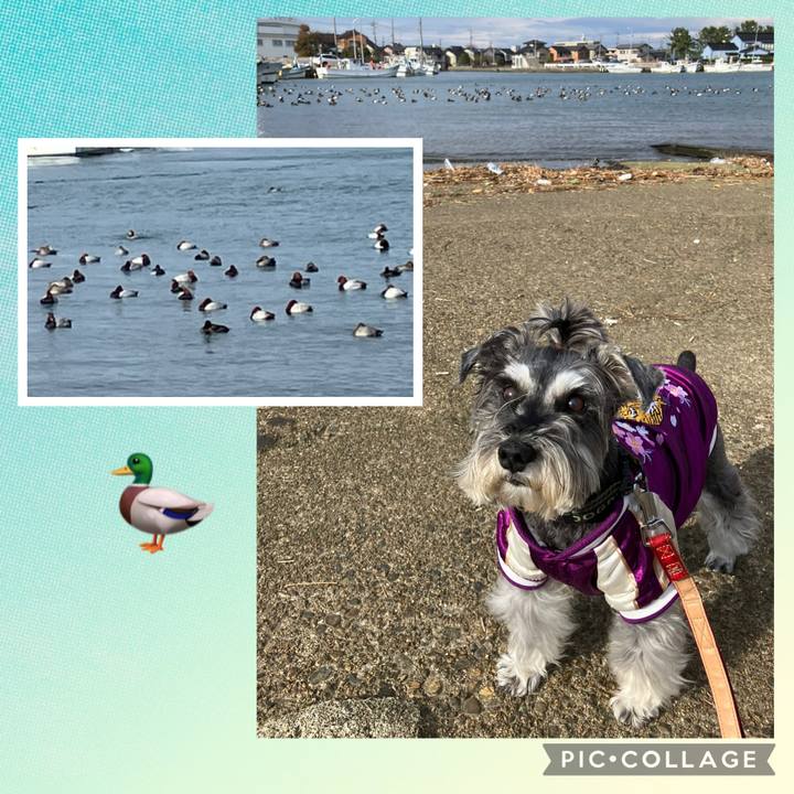 0a45e310 00ef 4b52 97f4 d6fd1d2770ce 1767164011446