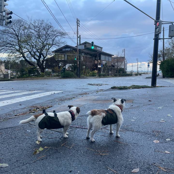 0a462f24 3180 4ec2 a2b2 8113d2f78ccd 1764284251347