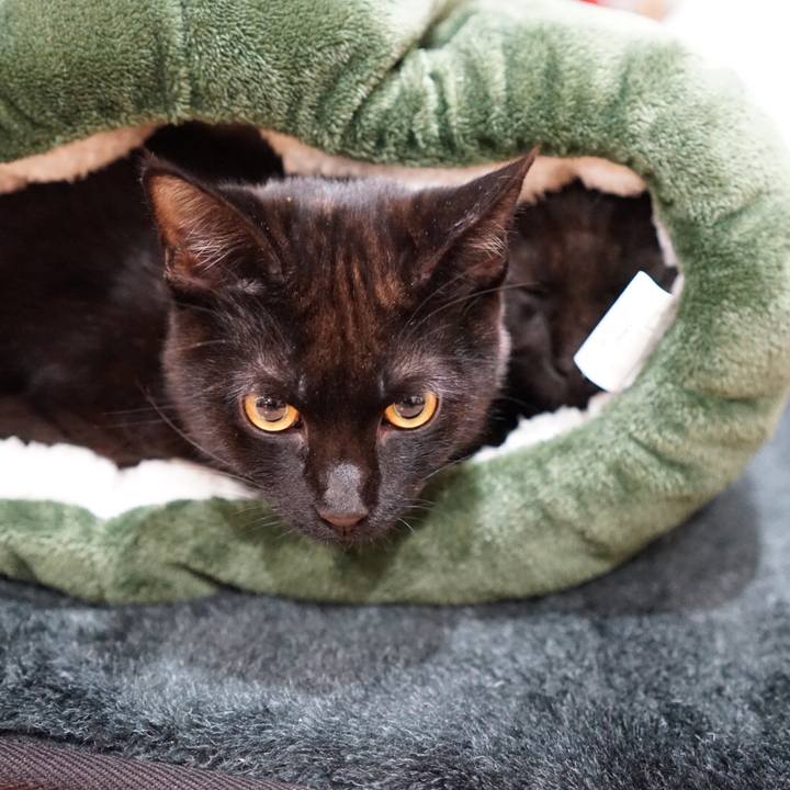 0a463133 28a0 4d3e 8791 92f116c3bcde 1511184355015