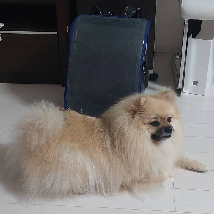 0a463b5e b4ae 4d9d 92a4 b95598586755 1662091468479