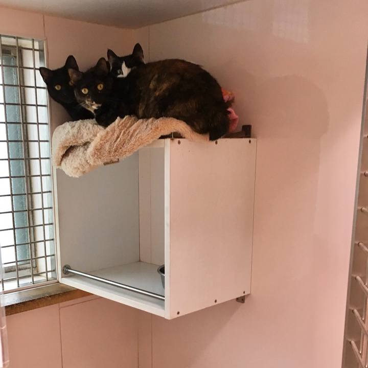 0a4661d5 20e9 4bc9 b26d cb47a2c00b86 1555065157477