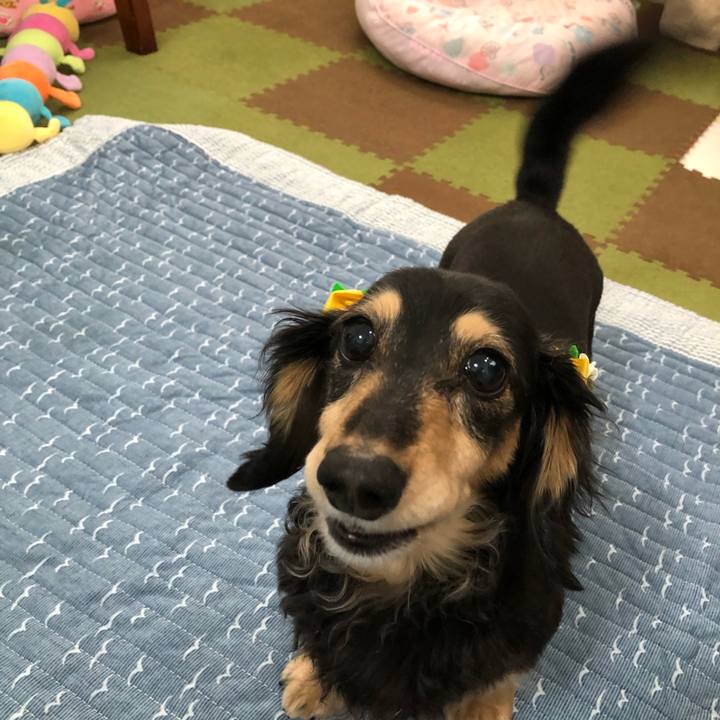 0a46bf29 ae53 4648 85f6 26863ef6d0c5 1558310112094