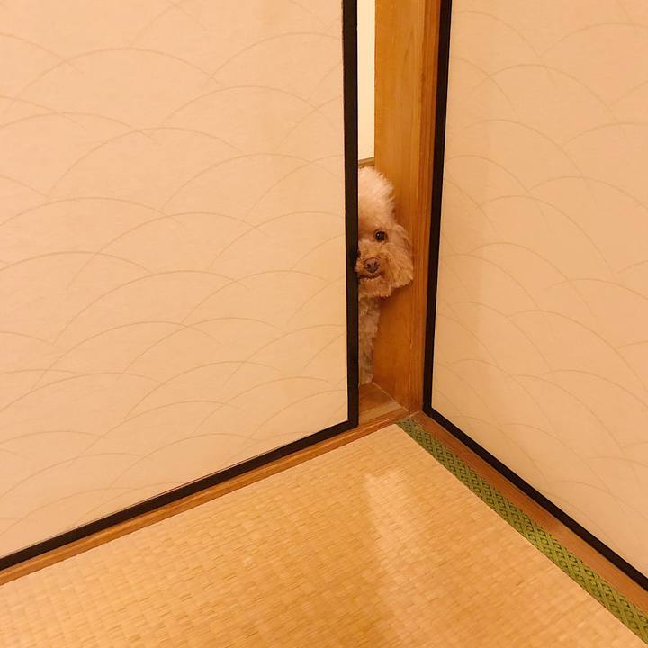 0a471d73 83cf 4985 bf5c 05f257185fd3 1566733187305