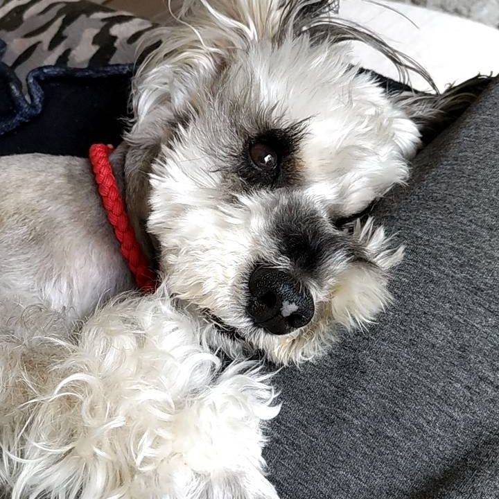 0a478547 2f89 4620 a8f3 9a1679ddb836 1745038662334