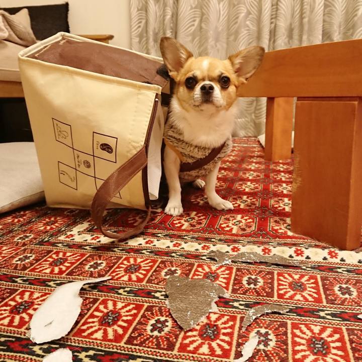 0a4787bb 5e53 44a2 b059 4037bb05fa46 1612349832091