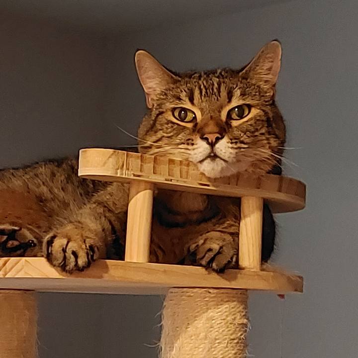 0a479d0f 43fe 43cb a962 de5e52981783 1722855643055