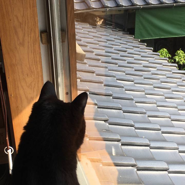 0a479d41 f496 4679 9280 7f227f396f26 1555382655612