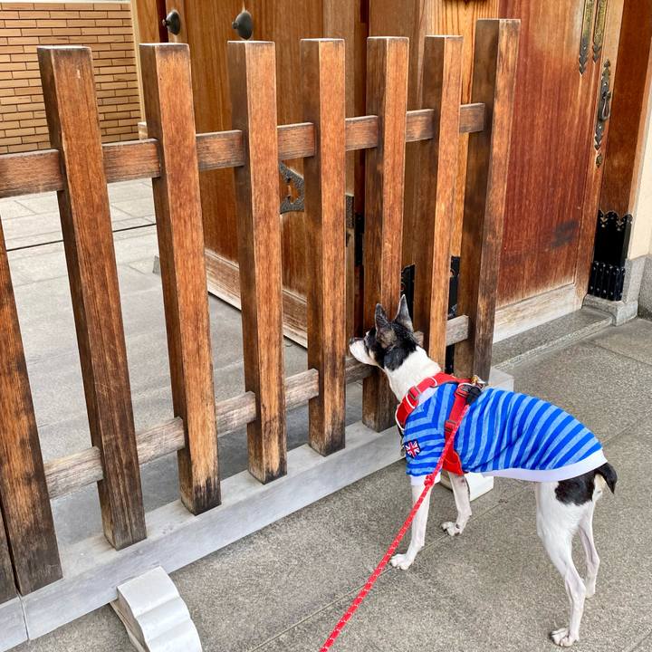 0a47ae24 dcb3 4f72 886e 3cf8e01cbc9a 1620118100818