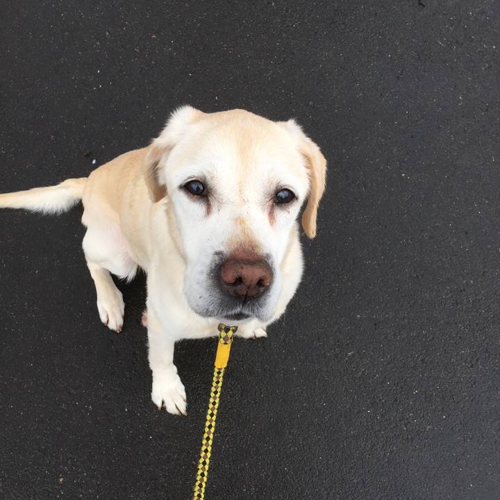 0a47c839 ff4d 4d79 8c52 0a3a22110b76 1523051081830