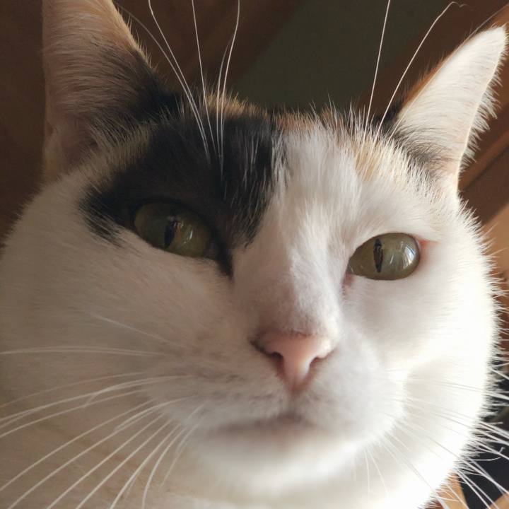 0a47cd84 742d 4a05 9b32 6e100ed2952a 1542072673455