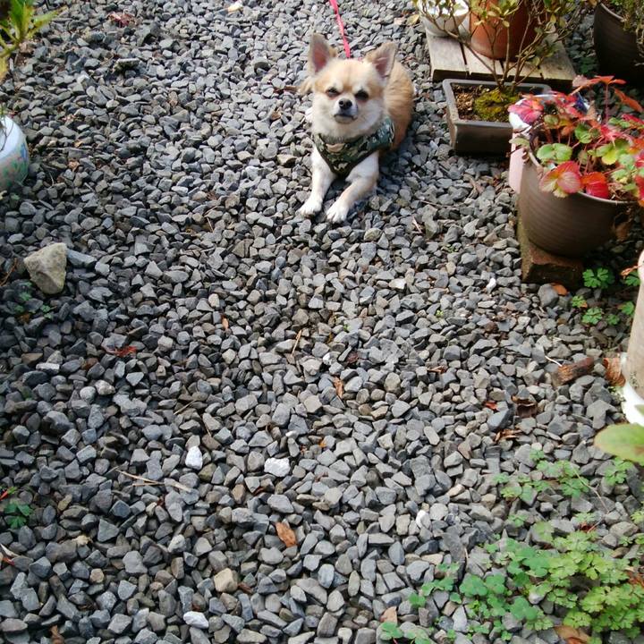 0a47e89e c134 4338 83f8 df27d282a16b 1512263504860