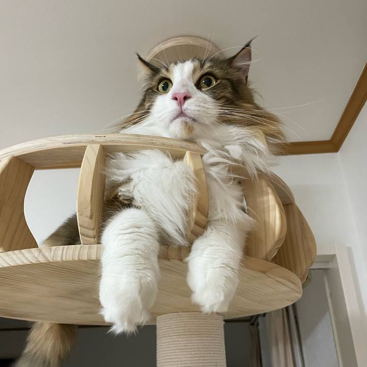 0a480a07 8537 4ebf bd11 254af710c460 1668713384513