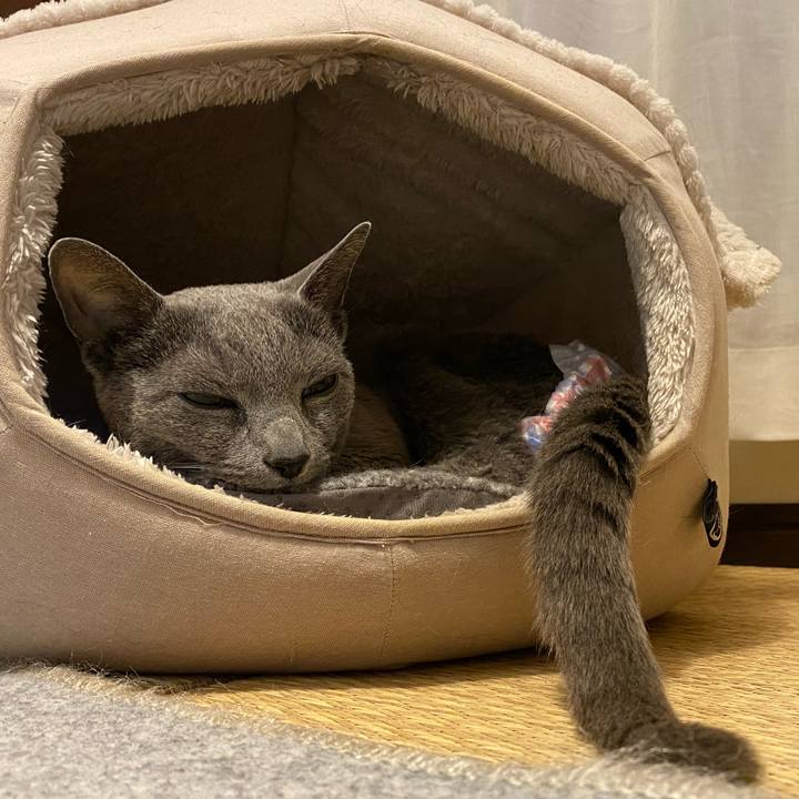 0a4822c4 a1af 4bfd 9e42 0058b78a4358 1645972042195