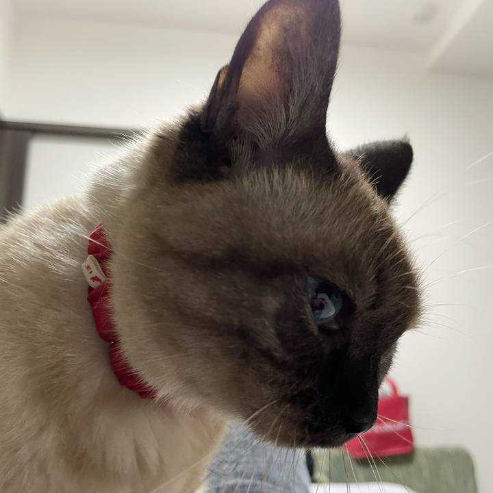 0a482faf 7357 48c1 91b6 e83d05a72f26 1760284248194