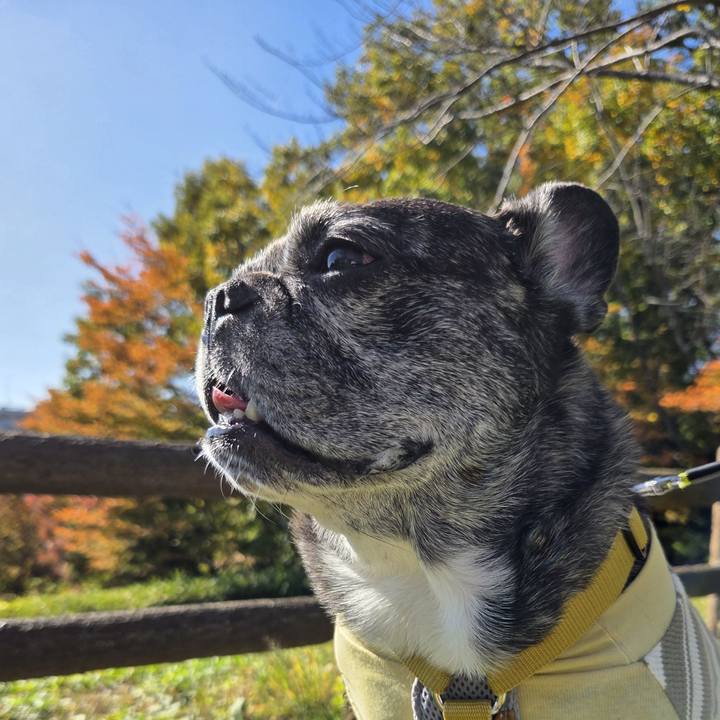 0a482fc5 cfc5 4016 8b90 b01d798551d3 1763349388113