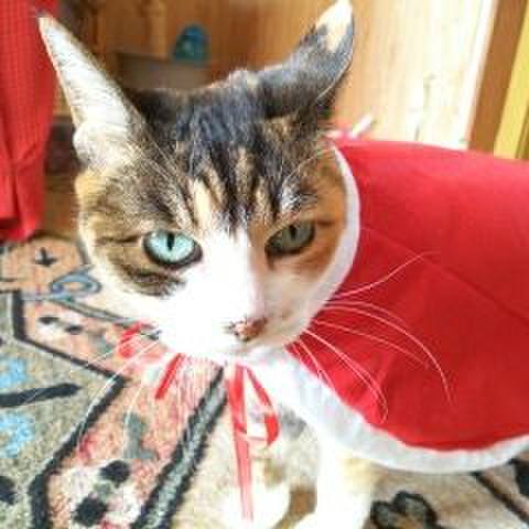 0a484bdb 9502 4480 8480 1f42c827a3ba 1520420839888