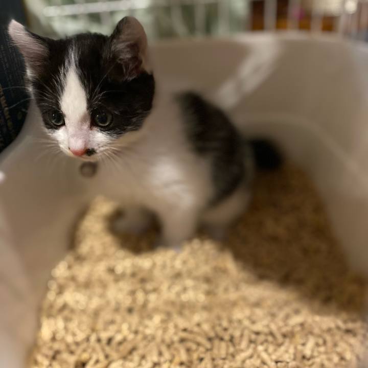 0a485dd0 3519 4885 92fd 0079ada51491 1651659615371