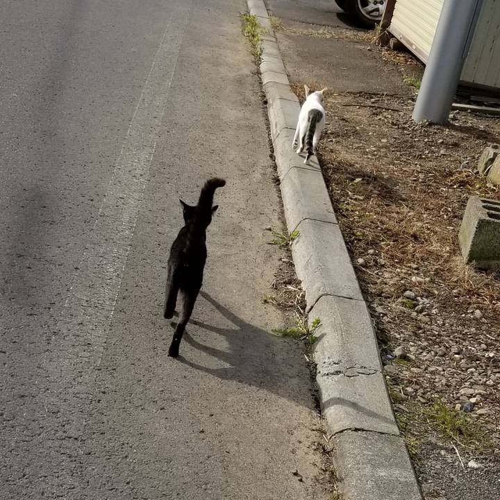 0a4879cd af5d 49e4 afc9 da07a21bc956 1566949779268