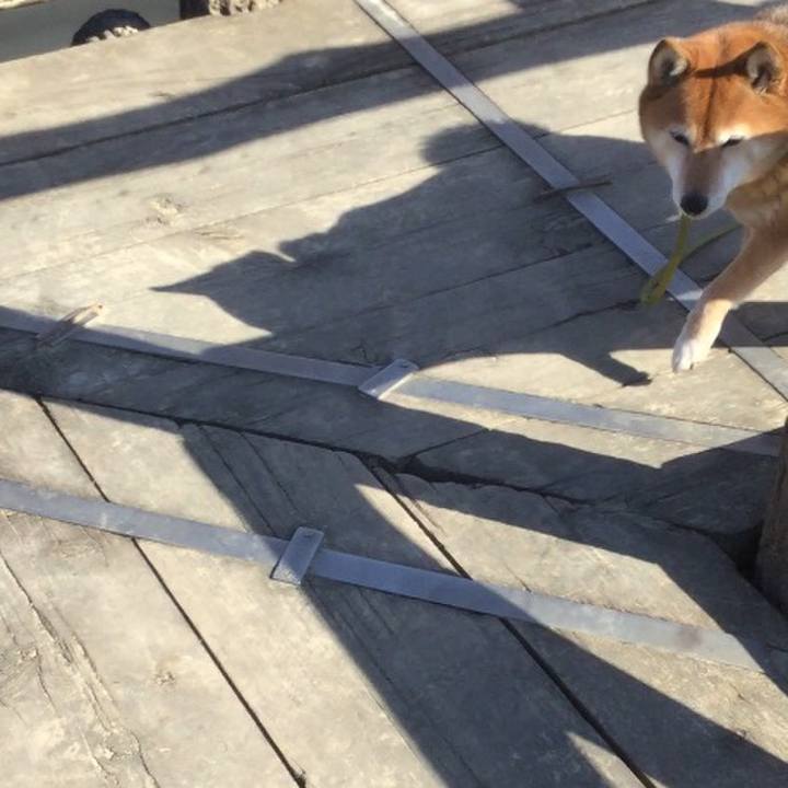 0a488d01 52b8 4037 bc7f 353e9fc05ca2 1581054899235