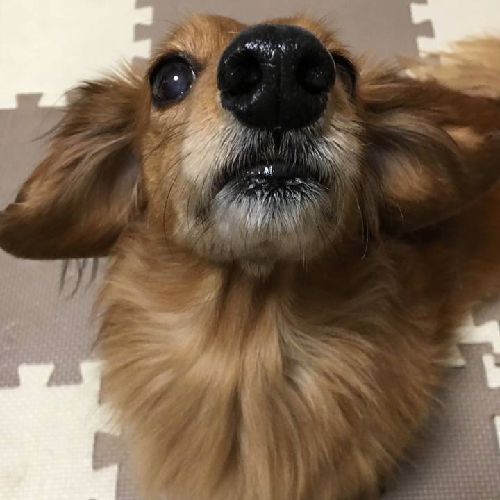 0a489940 62ff 42aa 8742 90f3d5034527 1518093035938